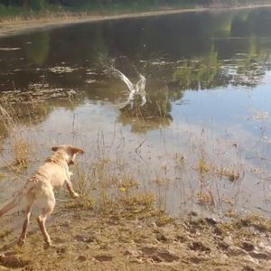 Meet your Posher, Tim